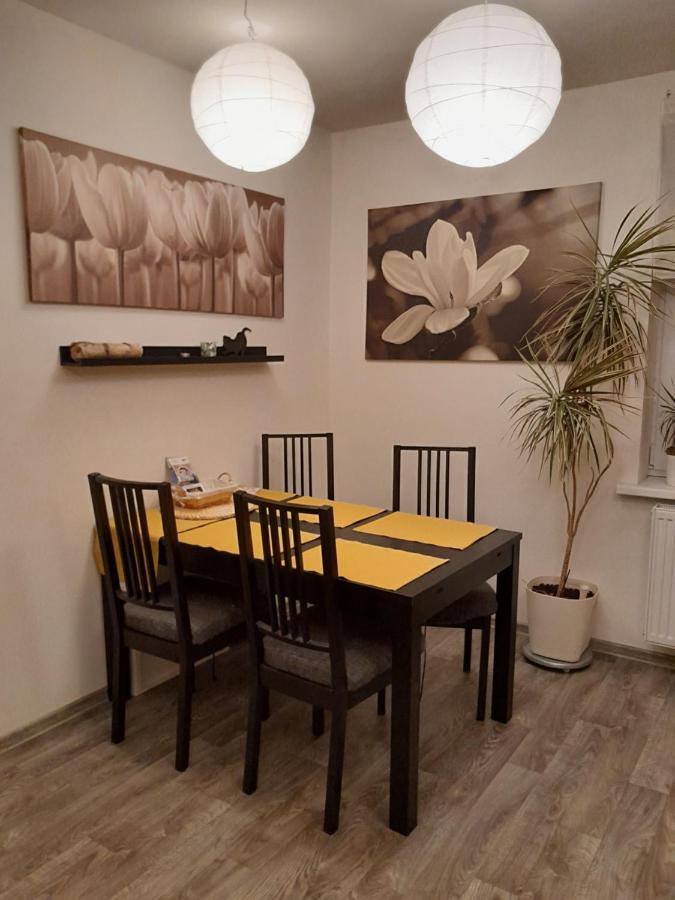 Apartment Riegerovka Cheb Exterior photo