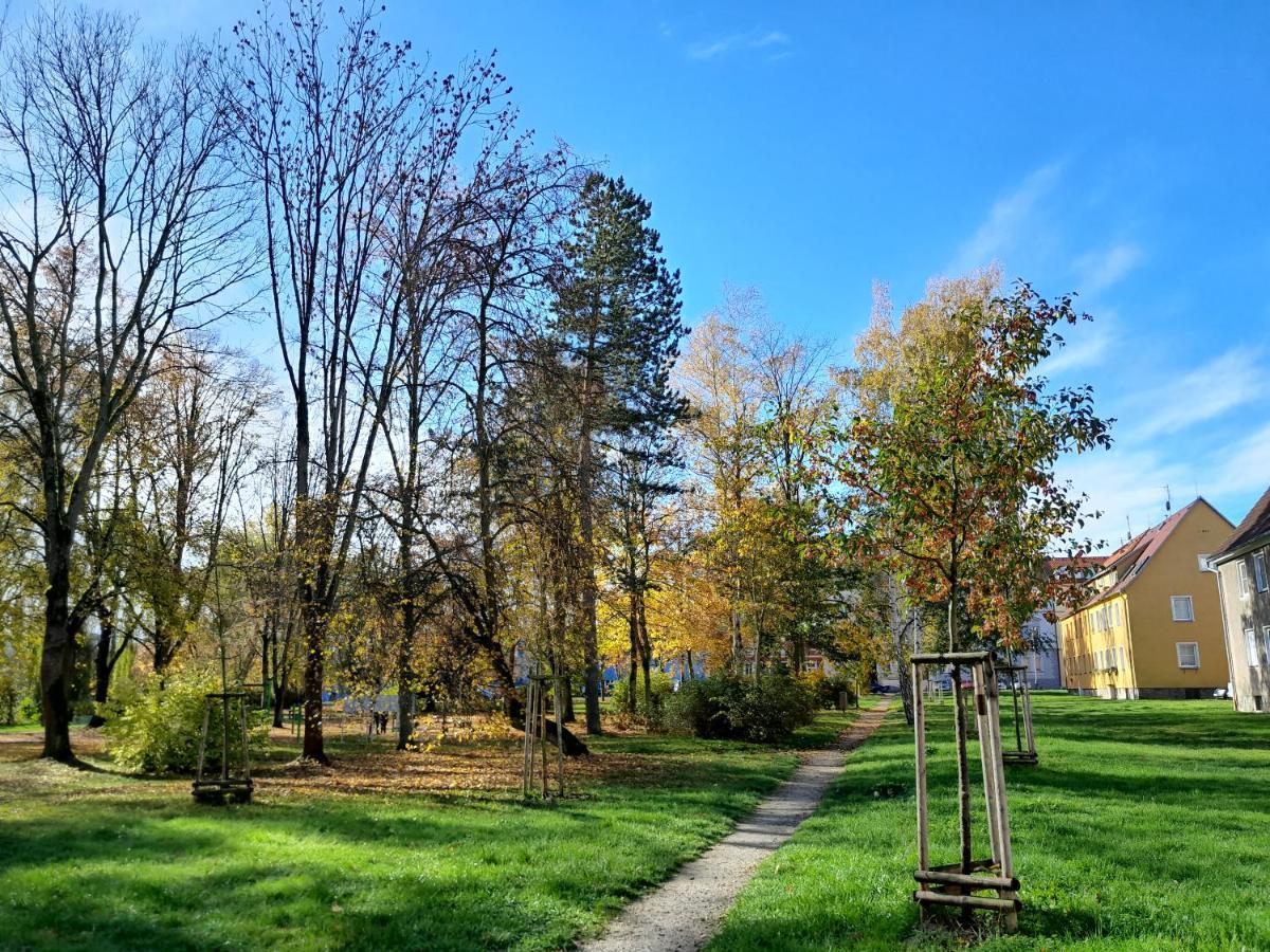 Apartment Riegerovka Cheb Exterior photo